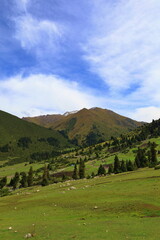 First stage of Ak-Suu Traverse trek from Jyrgalan to Ailampa Lake, Karakol, Kyrgyzstan