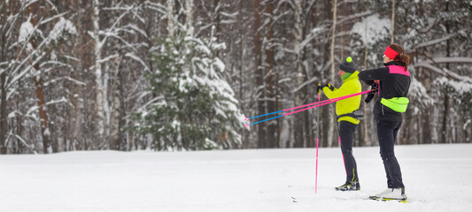 A couple of skiers are preparing for a cross-country in the forest