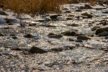stream in autumn