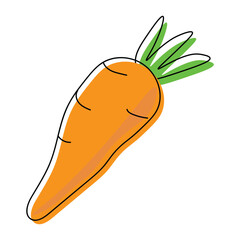 Vegetables elements. Hand drawn vector illustration.