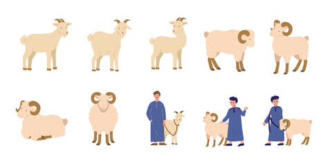 Full Set of Sheep and Goat Qurban | Eid Adha Series