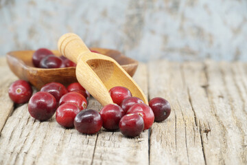 Kitchen scene with fresh cranberries on rustic table