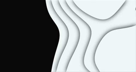 White cut curve abstract background pattern of lines and waves