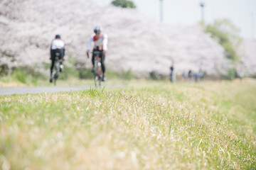 多摩川と桜とサイクリング