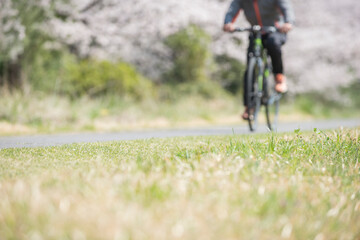 多摩川と桜とサイクリング