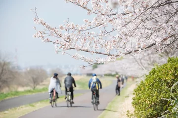 Tuinposter 多摩川と桜とサイクリング © PENGUIN_PHOTO