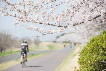 Foto op Aluminium 多摩川と桜とサイクリング © PENGUIN_PHOTO