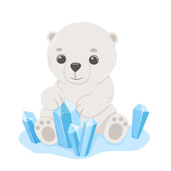 Cute baby bear sitting with ice crystals. Vector cartoon hand drawn childish illustration for kids. Polar animal isolated on white