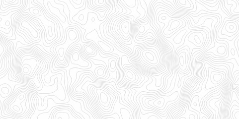 Background lines Topographic map. Geographic mountain relief. Abstract lines background. Contour maps. Vector illustration, Topo contour map on white background, Topographic contour lines.