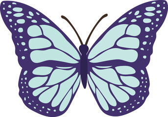 Flying tropical butterfly illustration