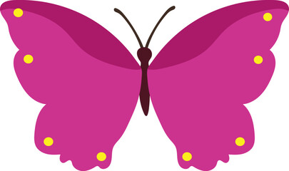 Flying tropical butterfly illustration