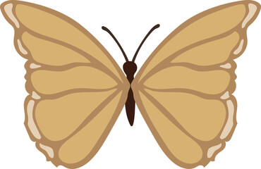 Flying tropical butterfly illustration