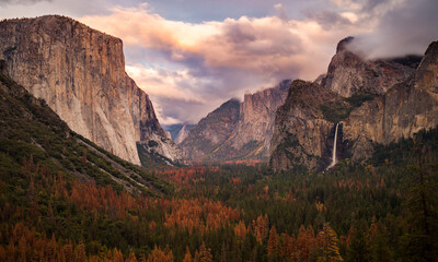 Yosemite National Park View of Trees / Waterfalls 