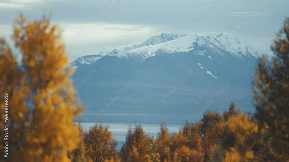 Poster snow-covered mountains tower above the fjord. autumn trees with brightly-colored leaves in the foreg