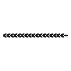 Long straight wheat ear with grains.