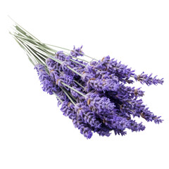 Dried lavender isolated on transparent background,transparency 