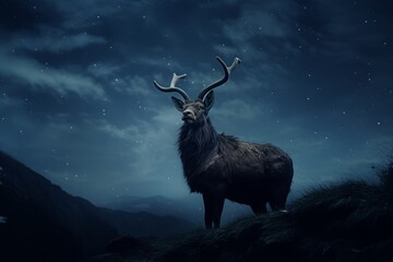 deer in the night sky