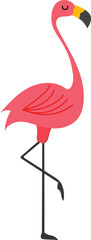 Tropical flamingo illustration