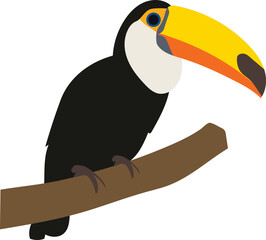 Toucan bird illustration