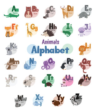 A bunch of animals that are in the shape of letters. Animal alphabet vector A-Z  wildlife characters : Animal Alphabet, Vector Art, Educational Design, Animal Illustrations, Alphabet Poster