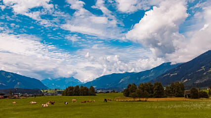 Alpine summer view near Saalfelden, Zell am See, Salzburg, Pinzgau, Saalachtal valley, Austria