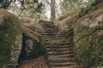 Old stone stairs in the forest - retro, vintage style look, Finland - Powered by Adobe