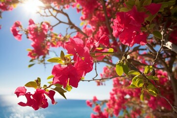 Vibrant bougainvillea blossoms flourish under the sunlight. Generative AI