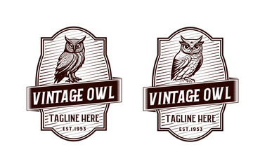 vintage owl logo design 