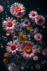 A bunch of beautiful daisies with water and water droplets