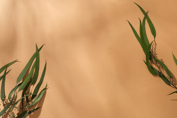 Green leaves are randomly decorated on a blank background, bringing a sense of autumn. Fall brings a brilliant yellow color to tree branches, grass blades, and street corners.