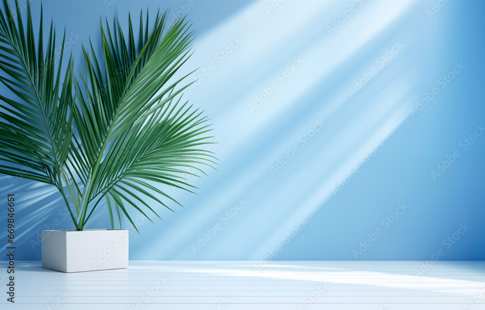Poster empty room featuring a white vase with palm leaves set against a blue wall background, complemented 