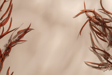 Long brown leaves decorated on a minimalist background. Autumn simulation. Autumn beauty. Fall is...