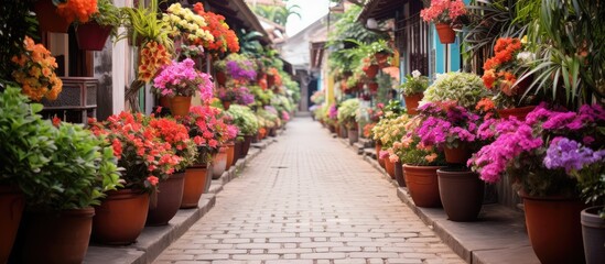 Fototapeta na wymiar Bali street with a garden of potted flowers