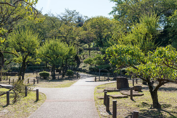 Obraz premium 大倉山公園