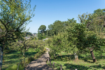大倉山公園