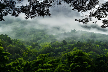 Obraz na płótnie Canvas mountains and fog, generation ai, 생성형, 인공지능