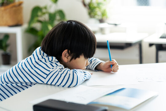 勉強する日本人の男の子