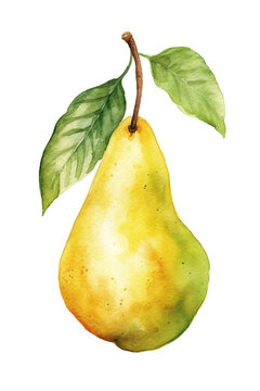 pear ripe watercolor clipart cute isolated on white background