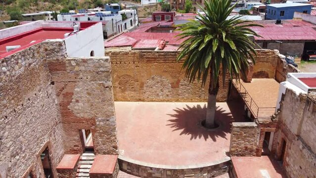 Palm tree with a top view and at the end open in Parral Chihuahua Mexico