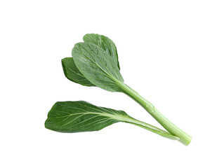 Green vegetable on white background