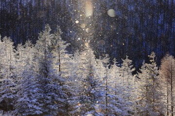 霧ヶ峰のダイヤモンドダストとサンピラー