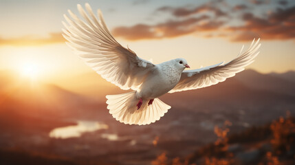 white dove or white pigeon on pastel background international day of peace - obrazy, fototapety, plakaty