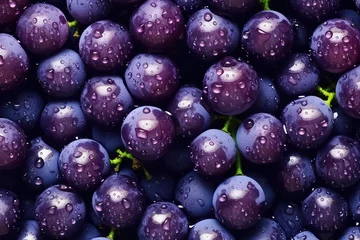 Fotobehang seamless background of many beautiful and shiny grape, top view. © yurakrasil