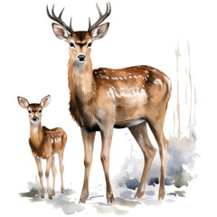 Deer with cub watercolor illustration, reindeer woodland animal isolated with a transparent background