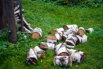 chopped birch for firewood