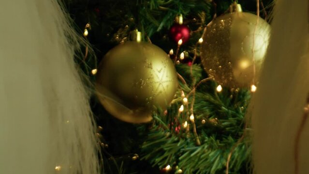 Between the nutcracker there is the Christmas tree