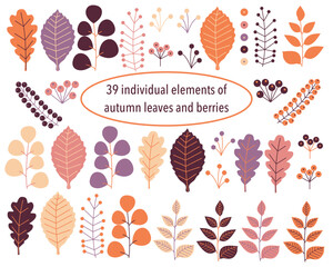 39 autumn individual elements of leaves and berries, on a white background, isolated, vector illustration, freehand.