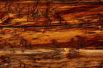 Surface of the old plank texture eroded by time and caries