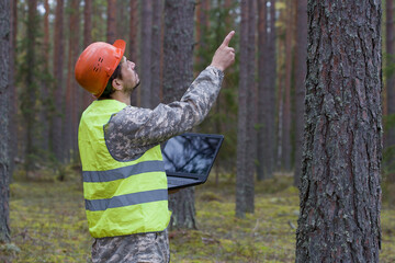 Forest engineer works in the forest with a computer. Trees are reflected on the monitor. An...
