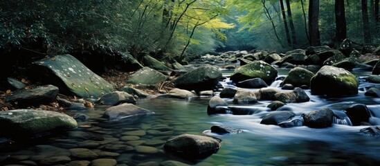 A Tennessee forest stream flows onto rocky terrain